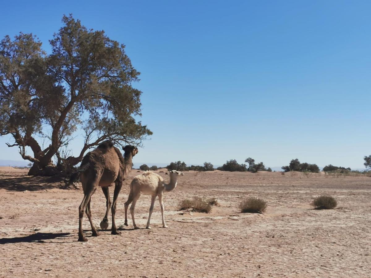 Готель Bivouac Erg Chegaga Nomademoi El Gouera Екстер'єр фото